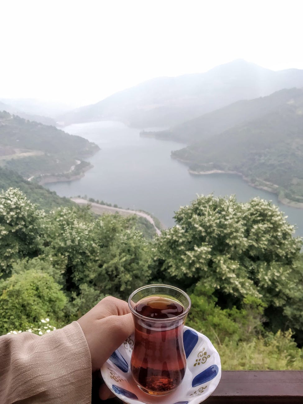 person holding a sauce of tea in a small clear drinking glass